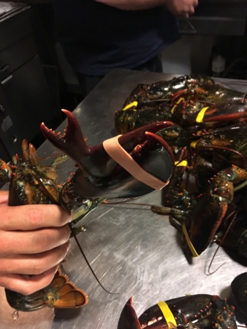 Products that will bring you to a screeching halt one of its kind