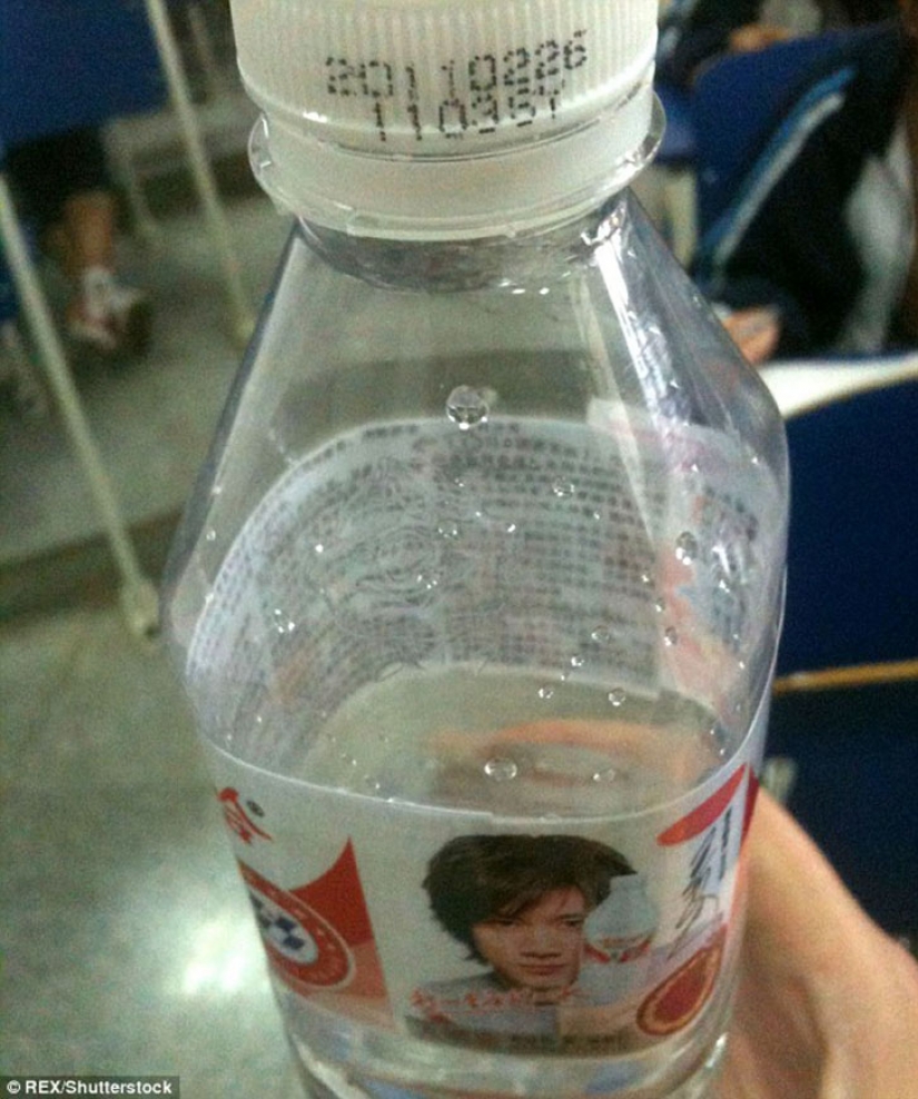 Professor, of course, the burdock: a modern guide for Cribs