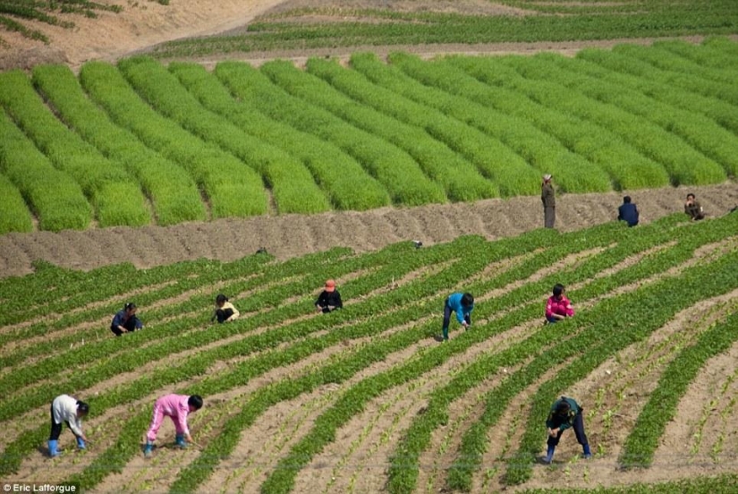 Prohibido fotos de Corea del Norte, filmado con una cámara oculta