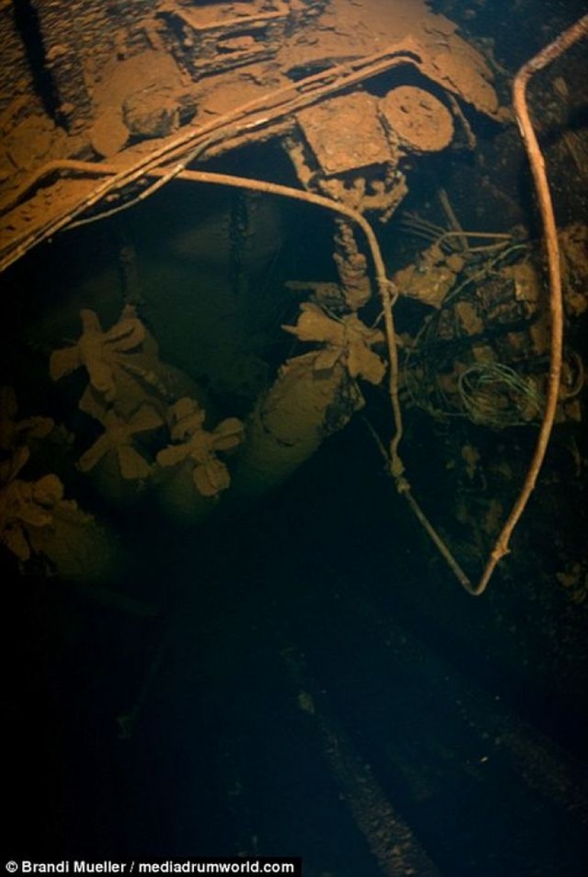 Published images flooded Japanese equipment during the Second world war