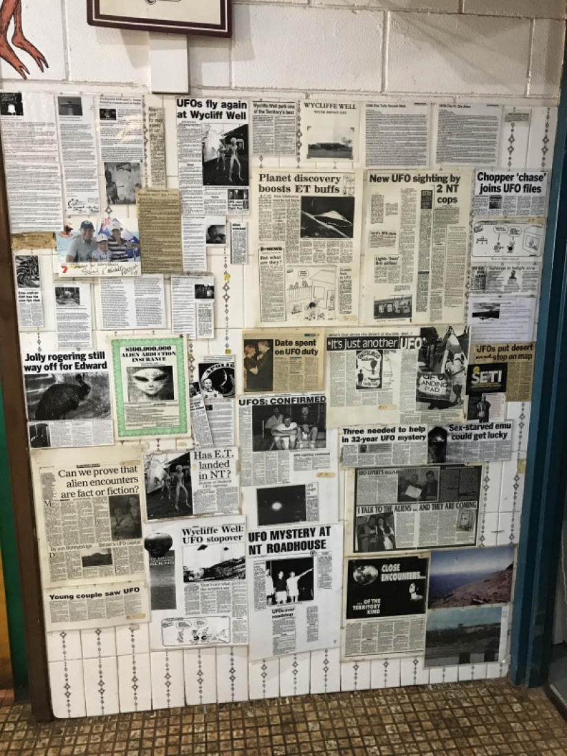 Que son el gris Wanderers de Australia