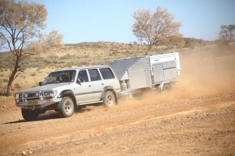Que son el gris Wanderers de Australia