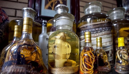 Rating edible inedible: the 6 most disgusting delicacies from Asia