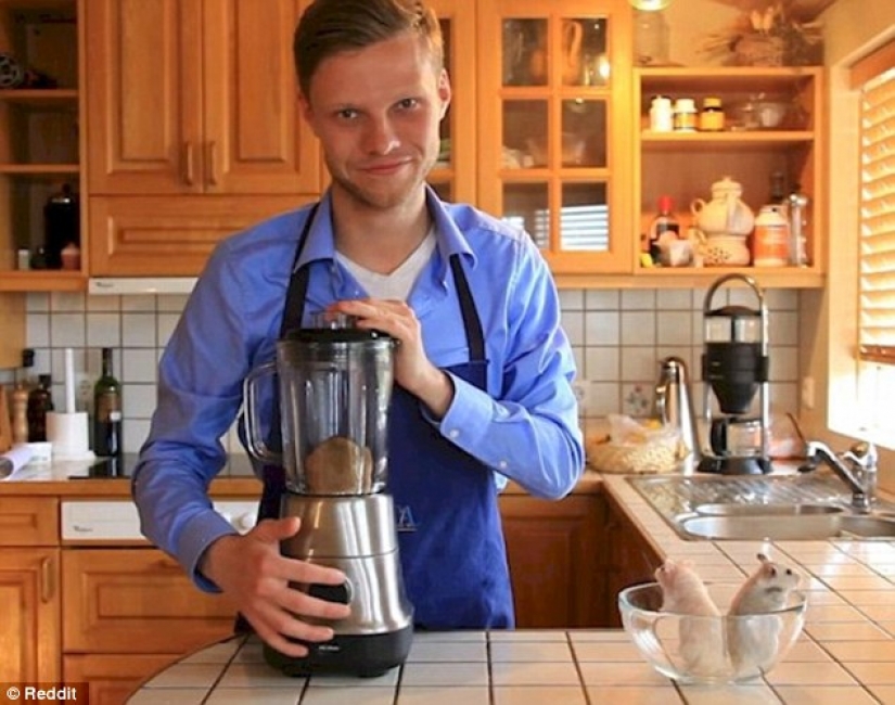 Real pictures or is it an optical illusion