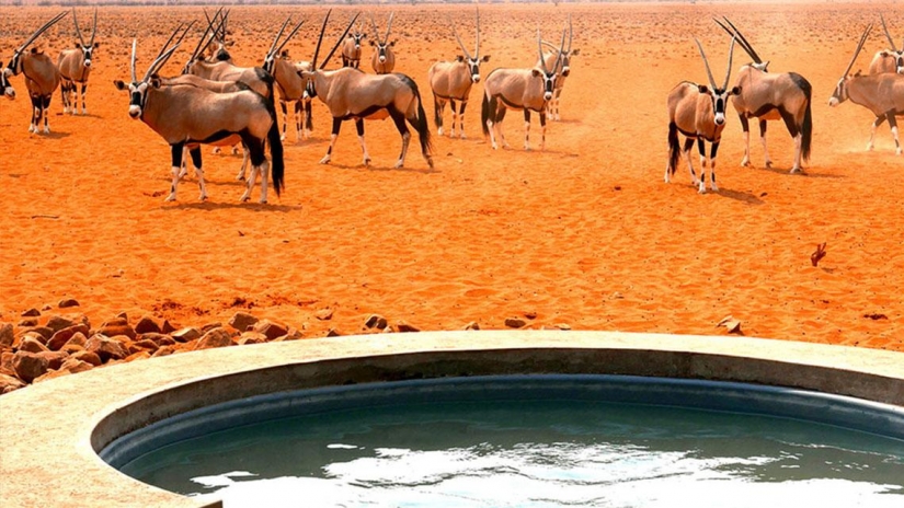 Recumbent tour: 9 best bathtubs on the planet