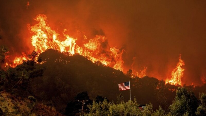 Resourceful American put out a fire with beer and saved your home and business Resourceful American put out a fire with beer and saved your home and business
