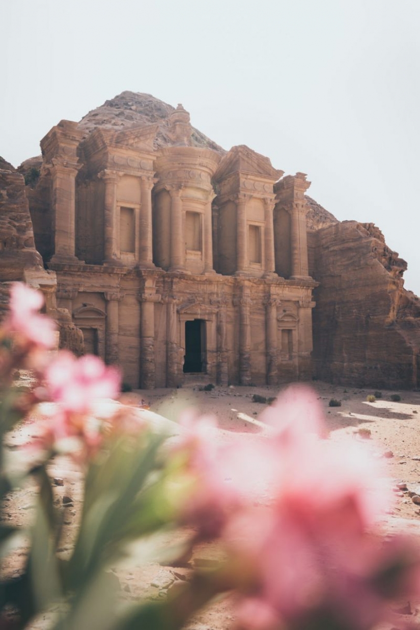 Rojo de primavera: mejores fotos del concurso de fotografía de la Primavera 2020 Rojo de primavera: mejores fotos del concurso de fotografía de la Primavera 2020