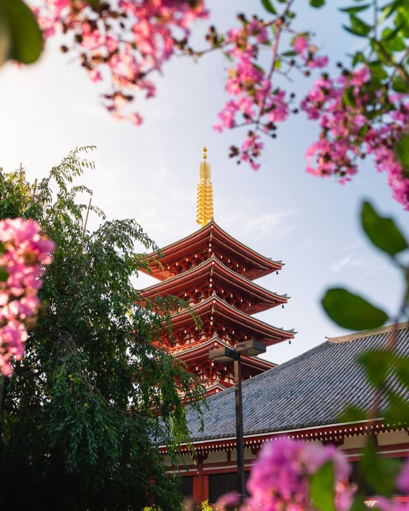 Rojo de primavera: mejores fotos del concurso de fotografía de la Primavera 2020 Rojo de primavera: mejores fotos del concurso de fotografía de la Primavera 2020