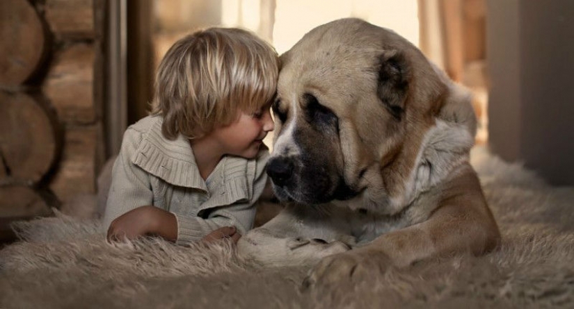 Russian woman creates stunning photographs of your children with animals in the village Russian woman creates stunning photographs of your children with animals in the village