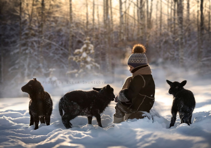 Russian woman creates stunning photographs of your children with animals in the village Russian woman creates stunning photographs of your children with animals in the village