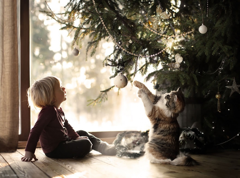 Russian woman creates stunning photographs of your children with animals in the village Russian woman creates stunning photographs of your children with animals in the village