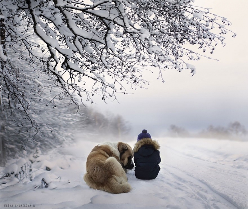 Russian woman creates stunning photographs of your children with animals in the village Russian woman creates stunning photographs of your children with animals in the village