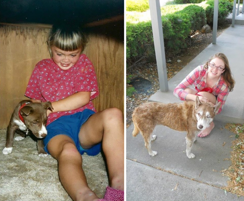 Se le rompe el corazón: la primera y la última de las fotos de los dueños con sus Mascotas