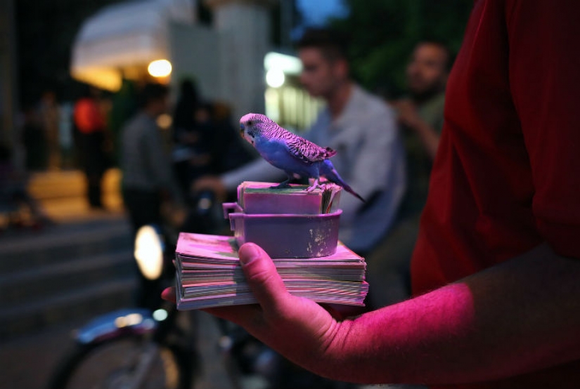 Se parece a Irán sin una política, los enjuiciamientos y las sanciones