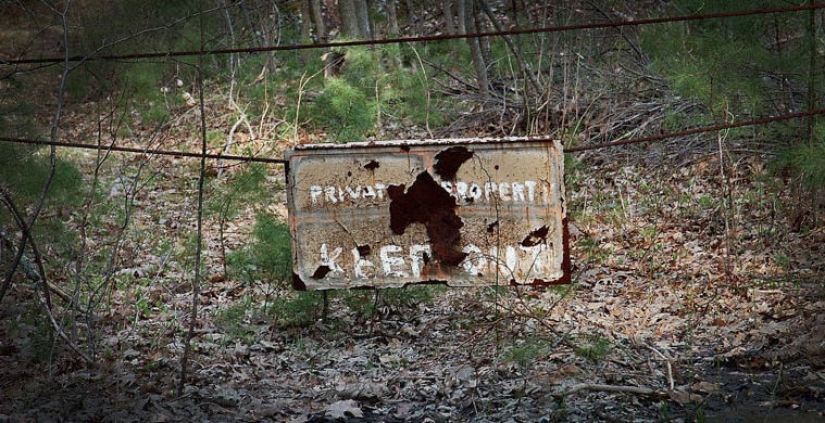 Siete de los más terribles de los bosques del mundo