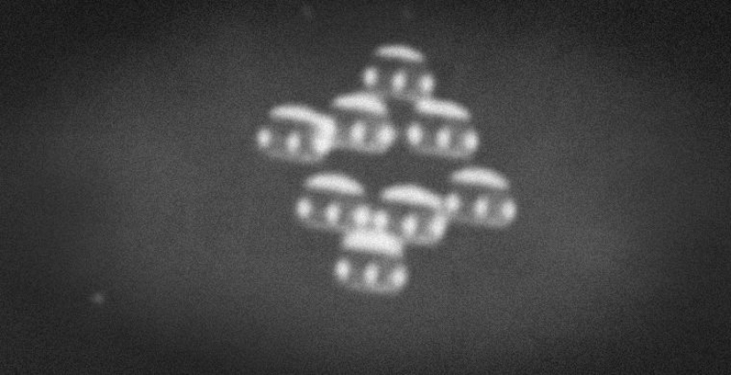 Siete de los más terribles de los bosques del mundo