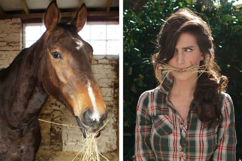 Siete generaciones de la familia Siete generaciones de la familia