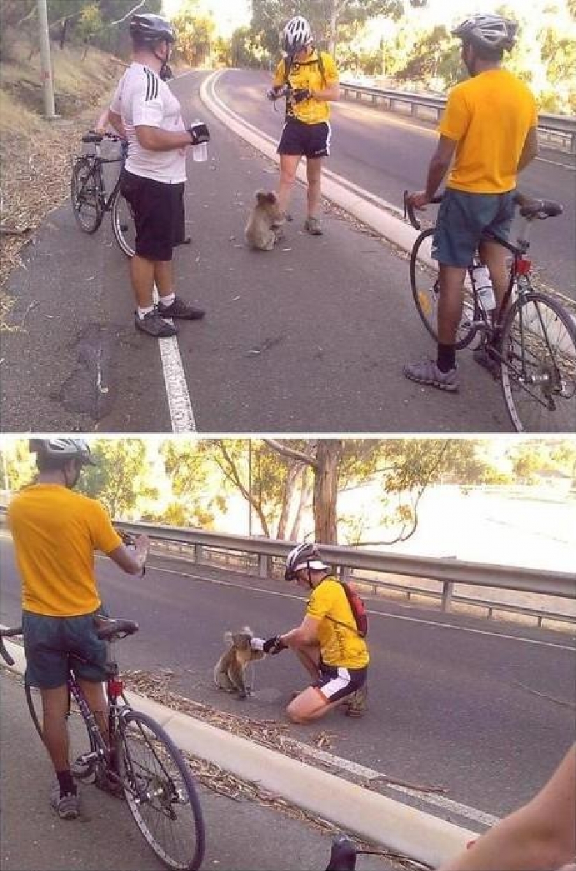 Sin más PREÁMBULOS: un post acerca de quienes hacen el bien Sin más PREÁMBULOS: un post acerca de quienes hacen el bien