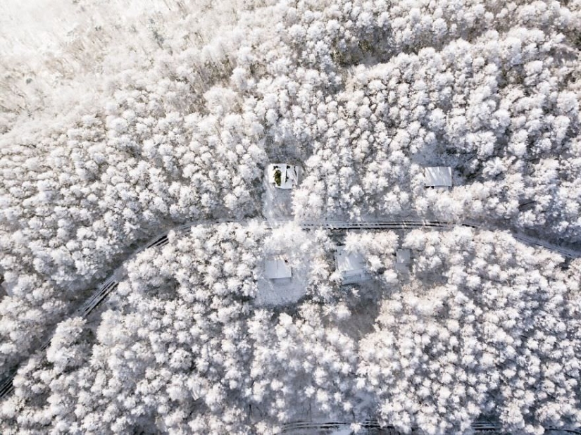 Snow tale: an incredibly beautiful winter in Japan
