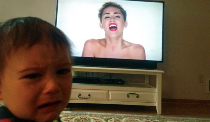 Sorry for the bird: the most stupid reason of children's tears