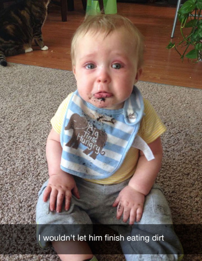 Sorry for the bird: the most stupid reason of children's tears