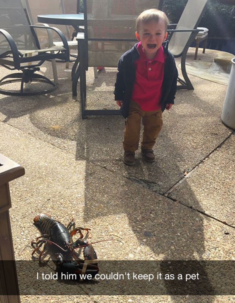 Sorry for the bird: the most stupid reason of children's tears