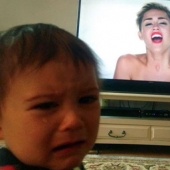 Sorry for the bird: the most stupid reason of children's tears