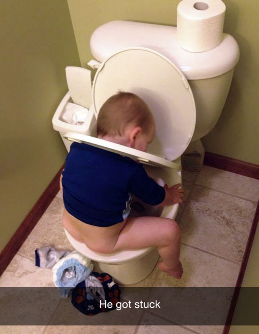 Sorry for the bird: the most stupid reason of children's tears