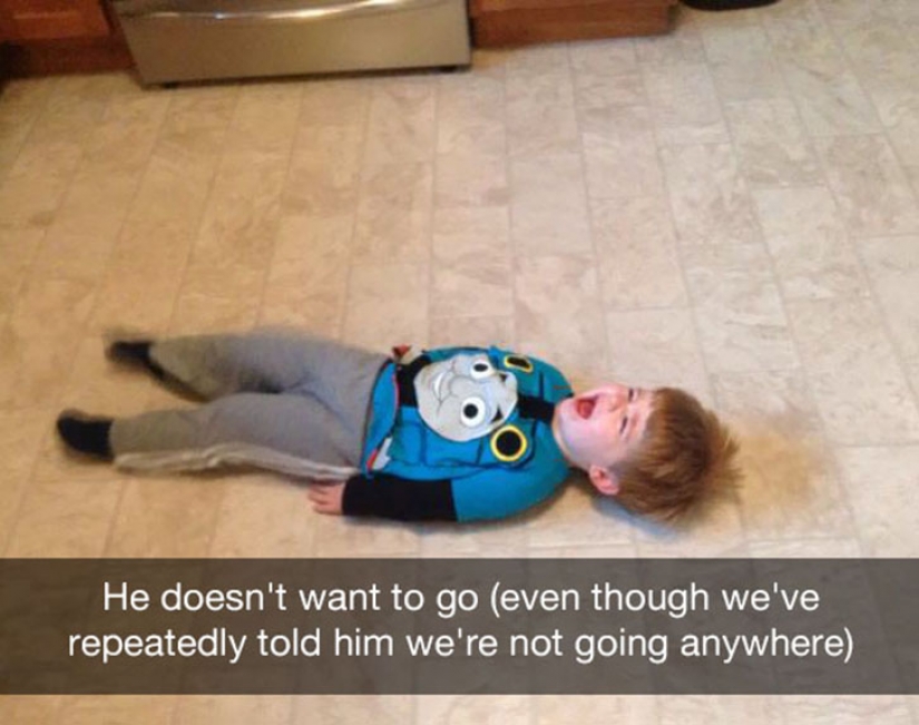 Sorry for the bird: the most stupid reason of children's tears