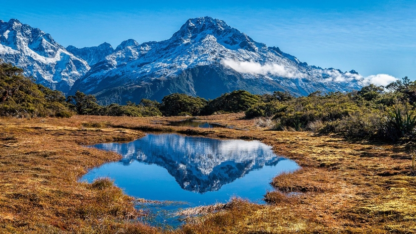South island — a real Paradise on Earth! South island — a real Paradise on Earth!
