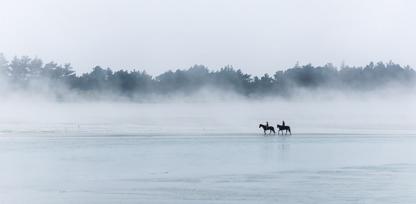 South island — a real Paradise on Earth! South island — a real Paradise on Earth!