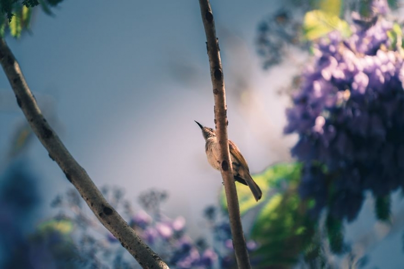 Spring red: best shots photo contest Spring 2020 Spring red: best shots photo contest Spring 2020