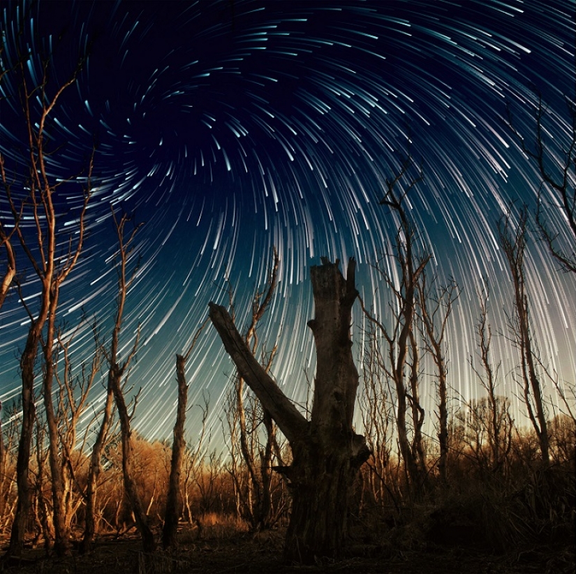 Star funnel Star funnel