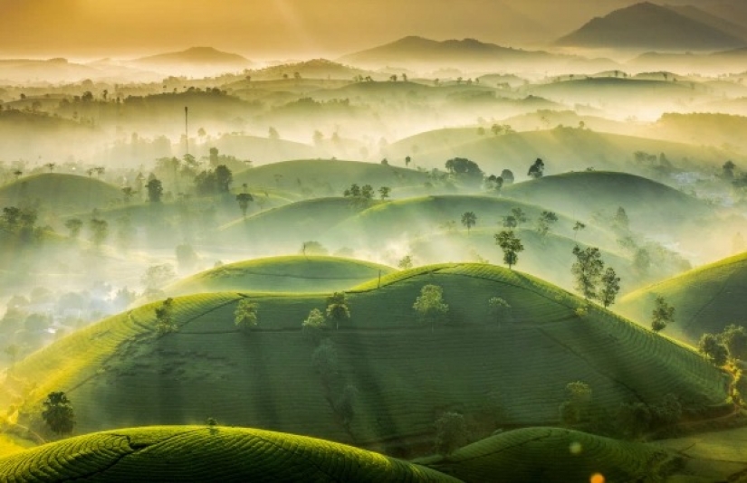 Stunning pictures from the winners of the "Weather of the year"
