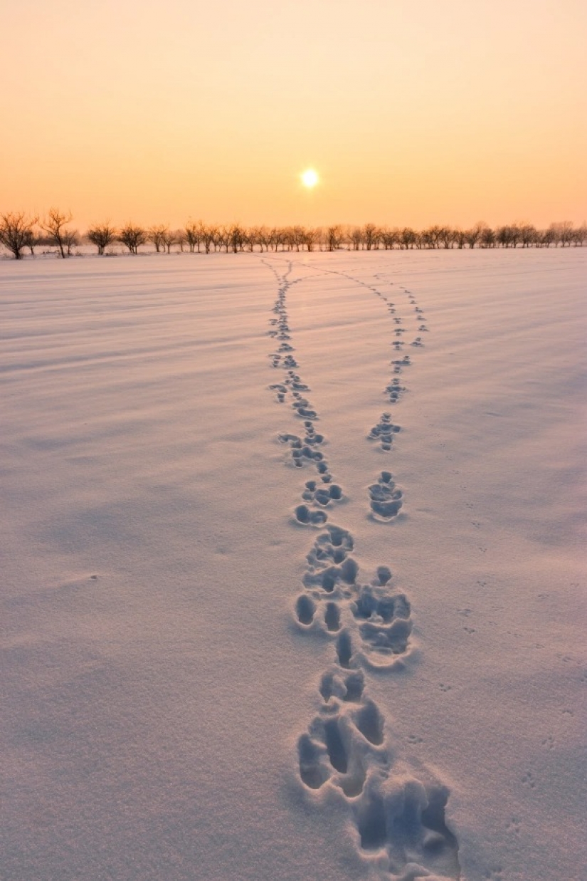 Stunning pictures from the winners of the "Weather of the year"