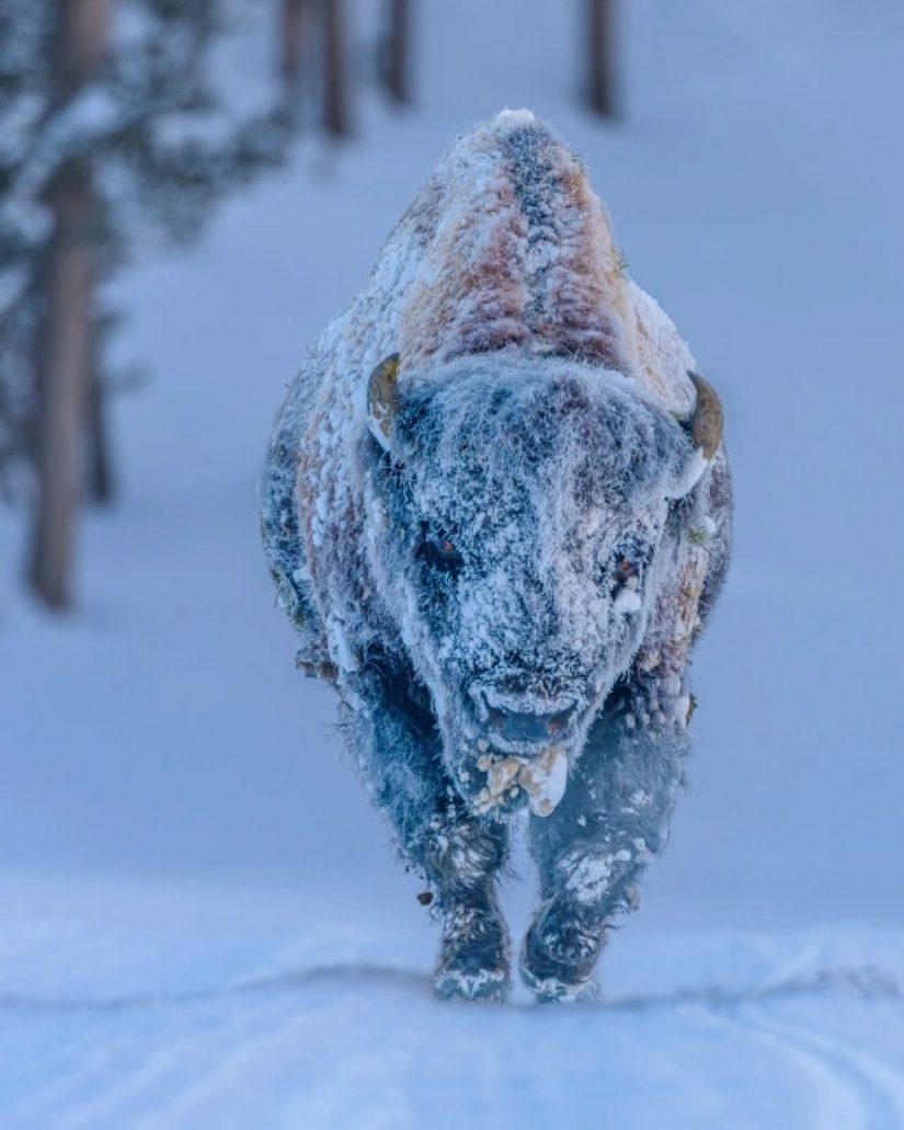 Stunning pictures from the winners of the "Weather of the year"