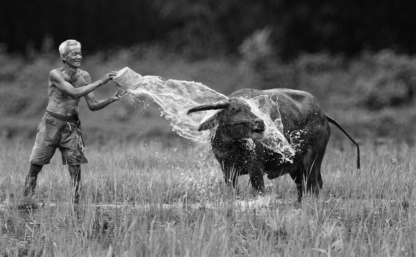 Suburb of Jakarta - here time stands still Suburb of Jakarta - here time stands still