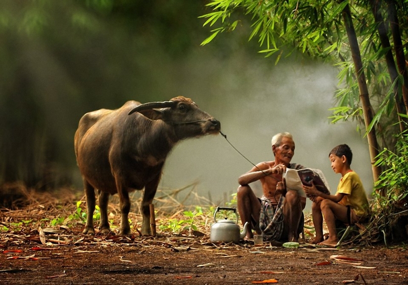 Suburb of Jakarta - here time stands still Suburb of Jakarta - here time stands still