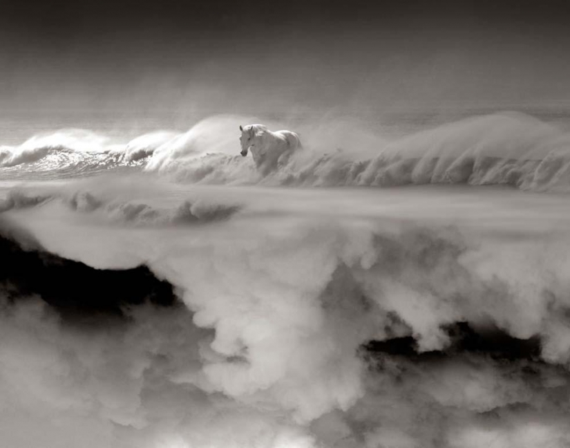 Surrealism in the works of Thomas Barbey Surrealism in the works of Thomas Barbey
