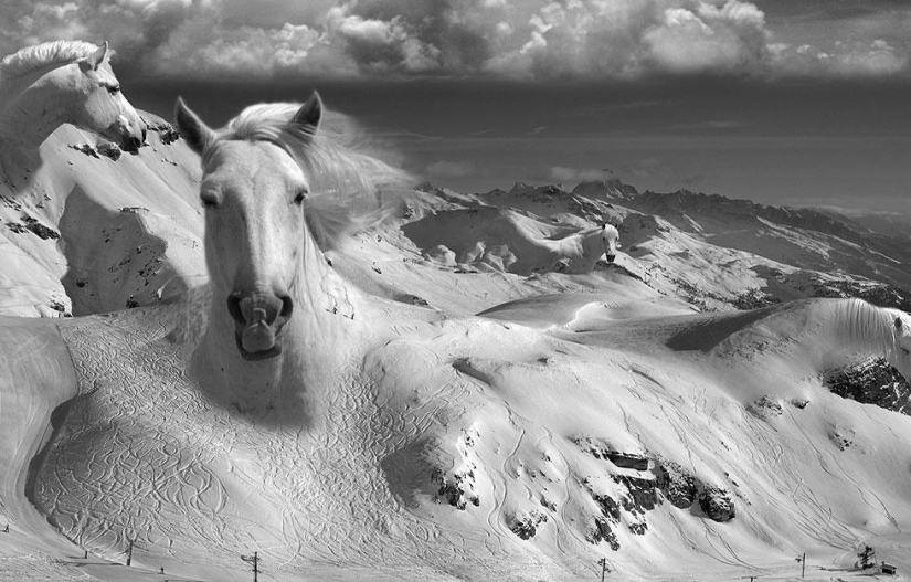 Surrealism in the works of Thomas Barbey Surrealism in the works of Thomas Barbey