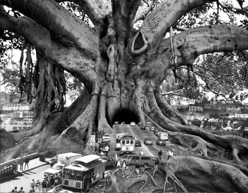 Surrealism in the works of Thomas Barbey Surrealism in the works of Thomas Barbey
