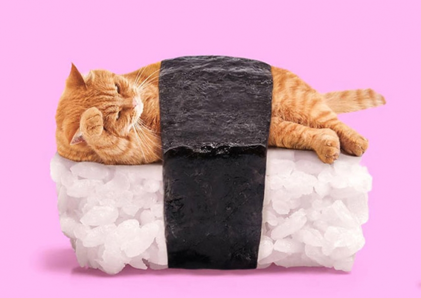 Surrealista lado de los objetos cotidianos, en el collage Mexicana Sexo Fuentes Surrealista lado de los objetos cotidianos, en el collage Mexicana Sexo Fuentes