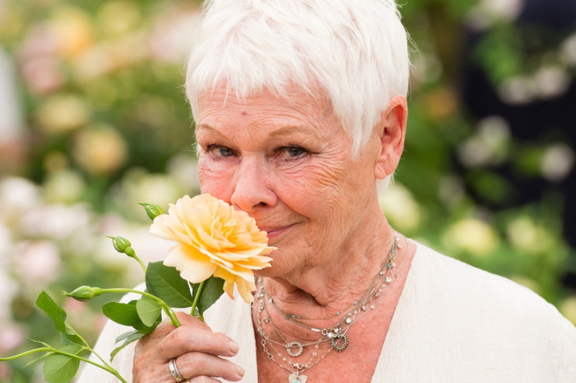 Tatuaje a Weinstein y el miedo a la oscuridad: hechos sorprendentes acerca de la actriz Judi Dench