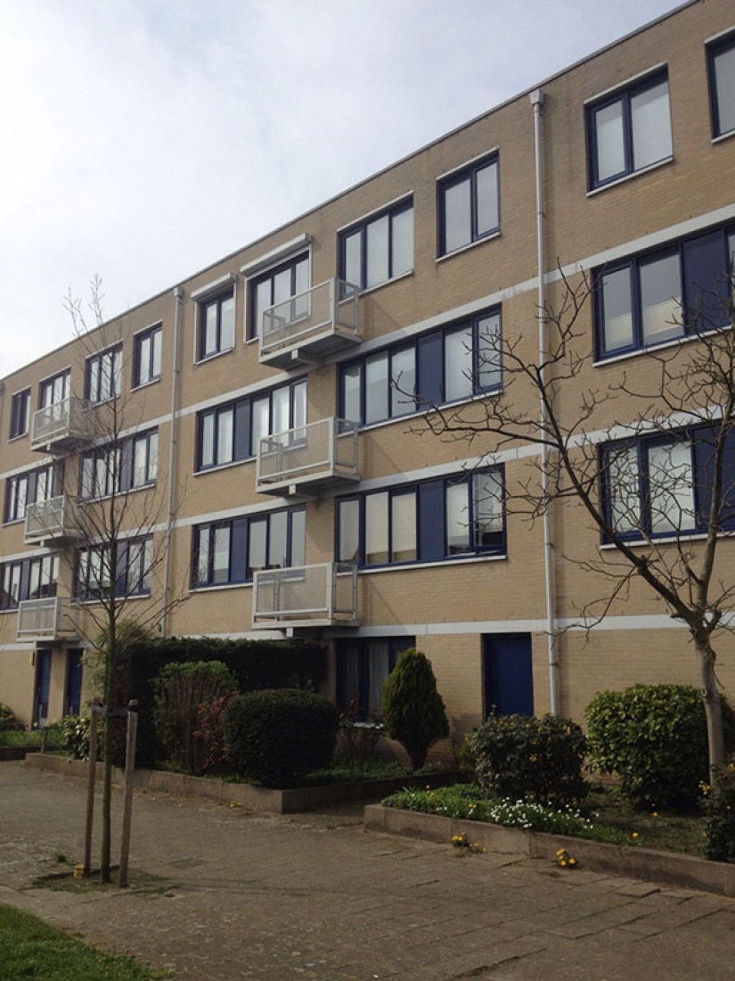 Tenían un solo objetivo, y no pueden manejarlo Tenían un solo objetivo, y no pueden manejarlo