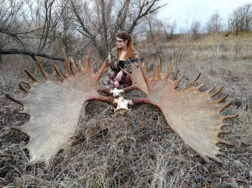 The bear will stop in a burning hut: a hunter from Russia outraged users of social networks