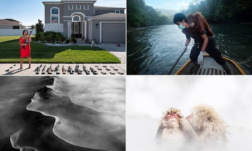 The best works from the contest Photo Award AllAbout 2020 The best works from the contest Photo Award AllAbout 2020