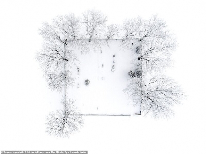 The best works from the contest Photo Award AllAbout 2020 The best works from the contest Photo Award AllAbout 2020