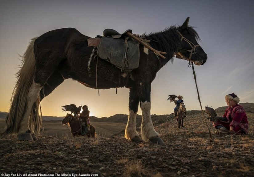The best works from the contest Photo Award AllAbout 2020 The best works from the contest Photo Award AllAbout 2020