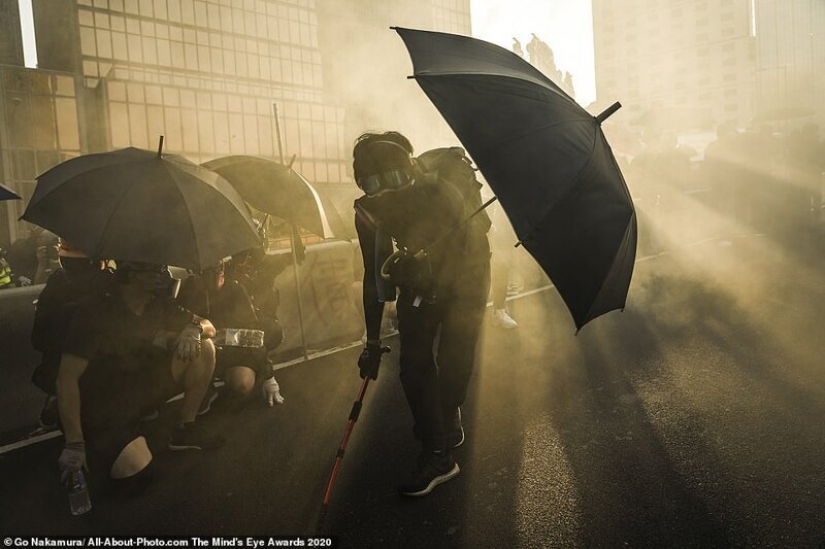 The best works from the contest Photo Award AllAbout 2020 The best works from the contest Photo Award AllAbout 2020