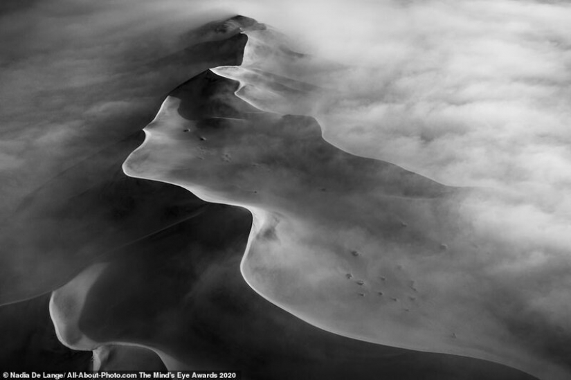 The best works from the contest Photo Award AllAbout 2020 The best works from the contest Photo Award AllAbout 2020
